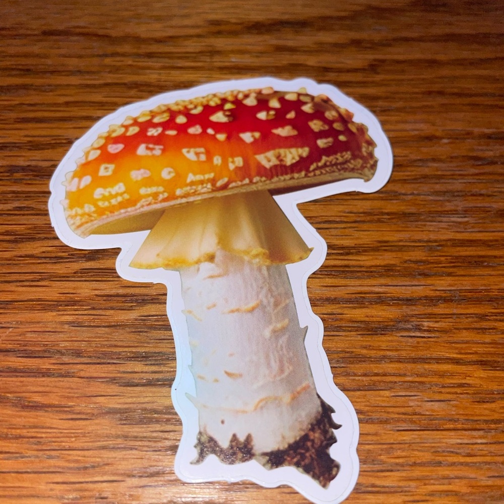 Colorful 13 Mushroom Sticker Set - Picture 8 of 14